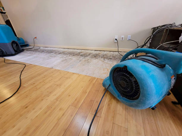 Professional Structural Drying technician working in Mecosta, MI